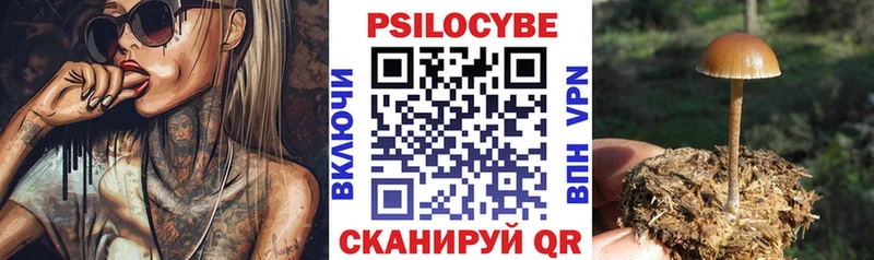 хочу наркоту  Дербент  Псилоцибиновые грибы прущие грибы 